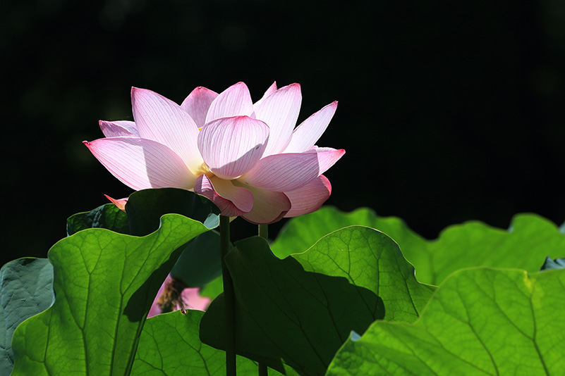 Photo#13