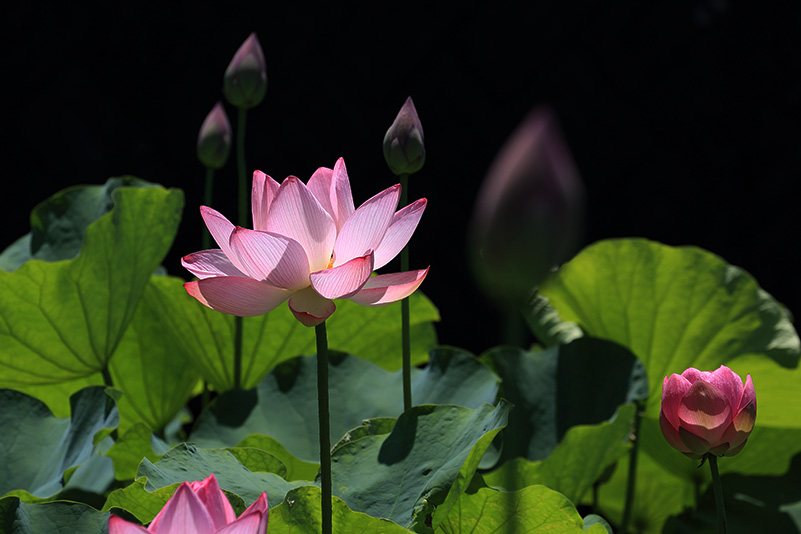 Photo#14