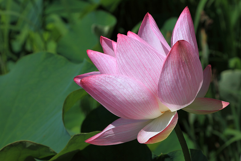Photo#15