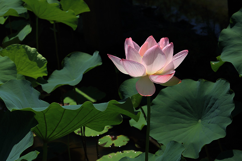 Photo#16