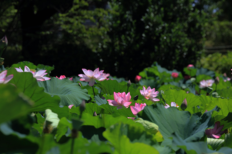 Photo#17