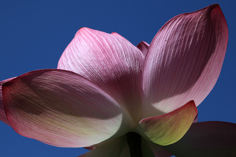 Photo#18