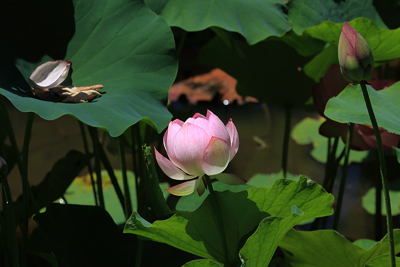 Photo#19