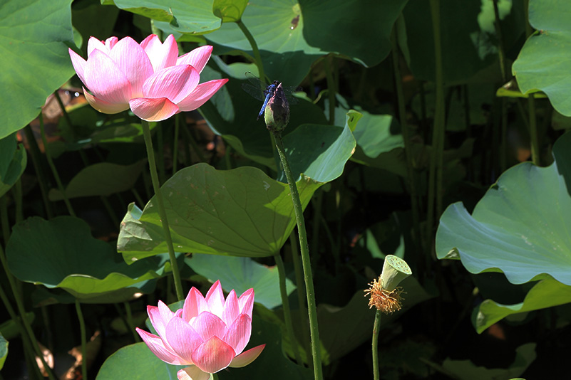 Photo#20