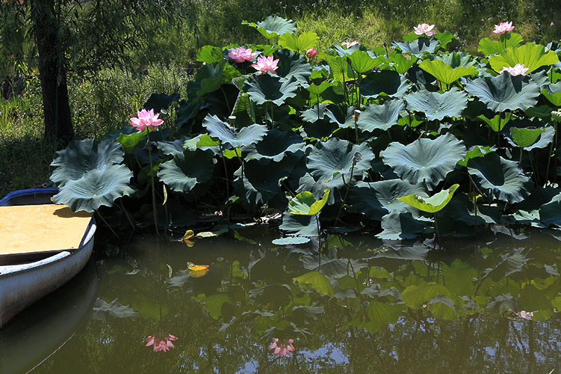 Photo#21