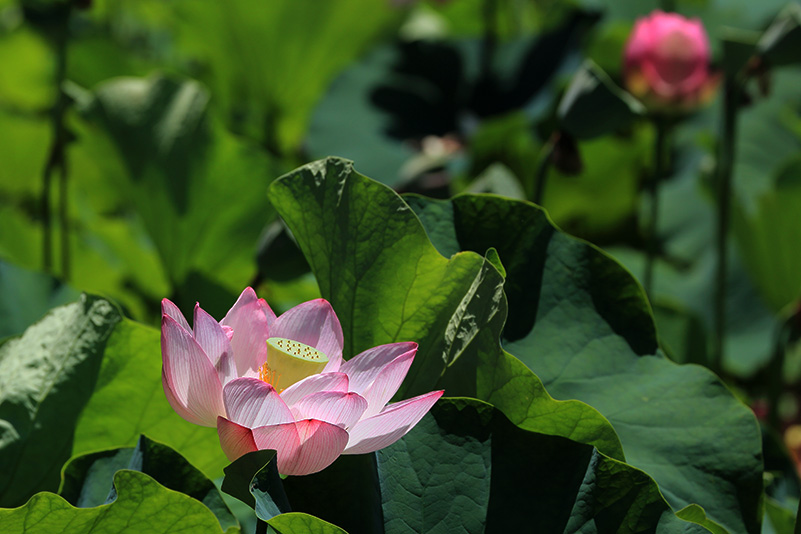 Photo#22