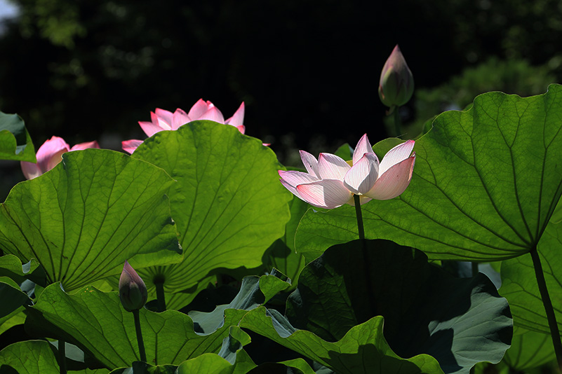 Photo#23