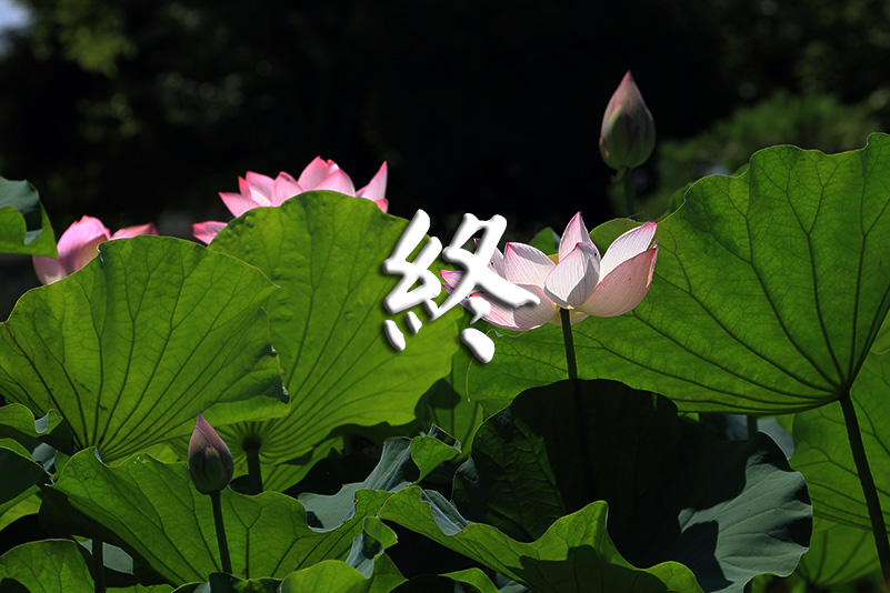 Photo#24