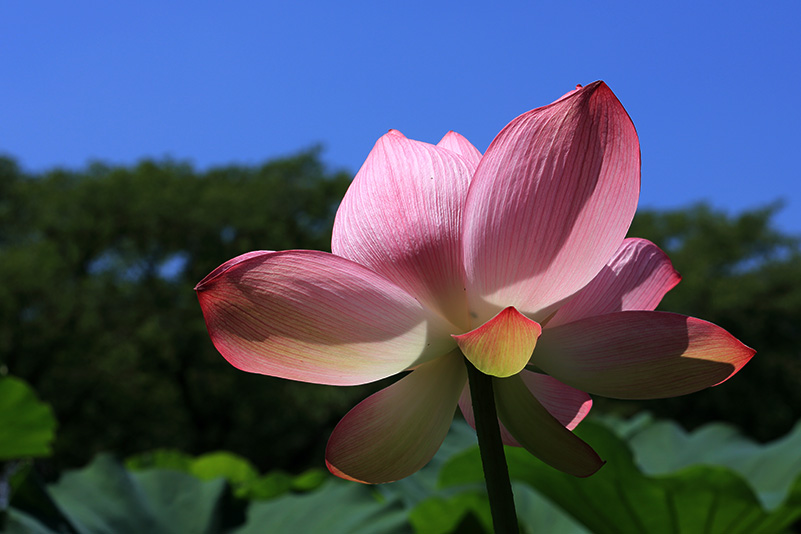 Photo#8
