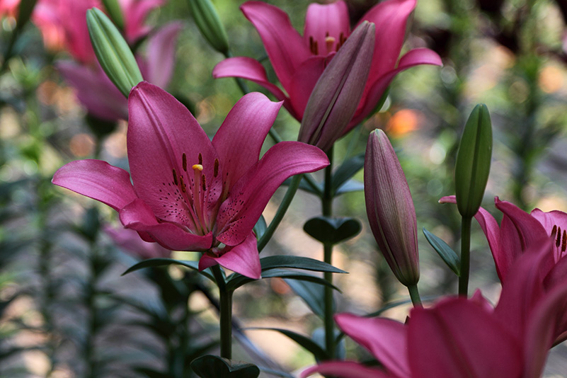 Photo#20