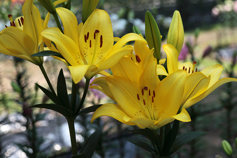 Photo#23
