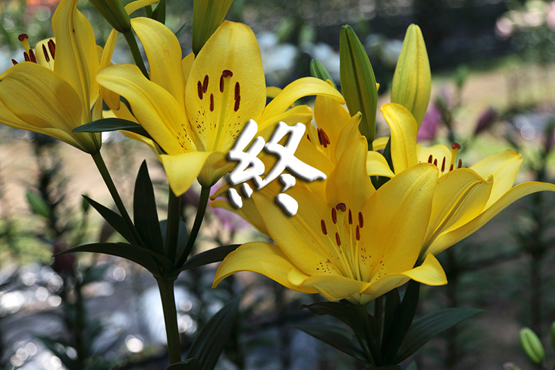 Photo#24