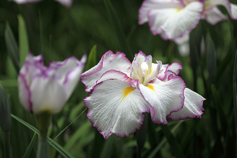 Photo#20