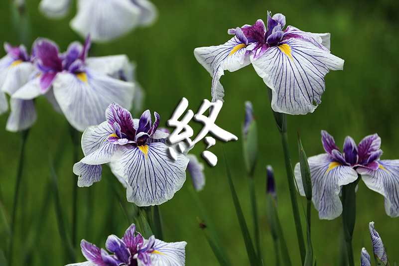 Photo#24