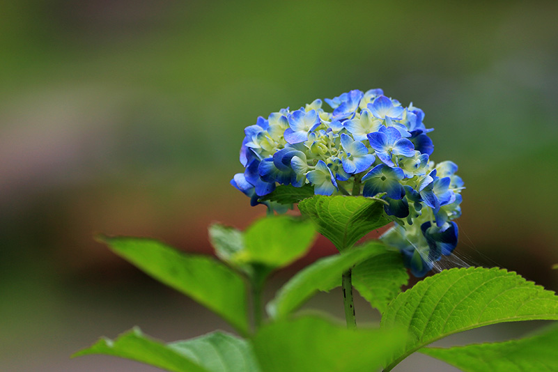 Photo#4