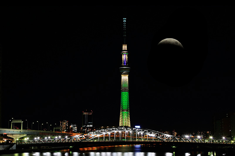Photo#14