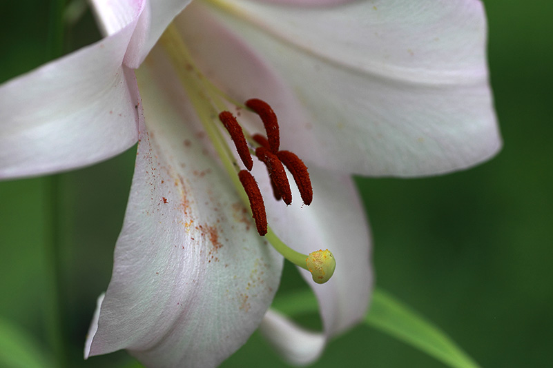 Photo#23