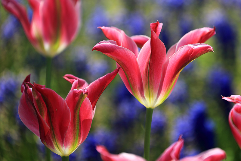 Photo#17