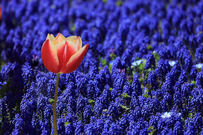 Photo#23