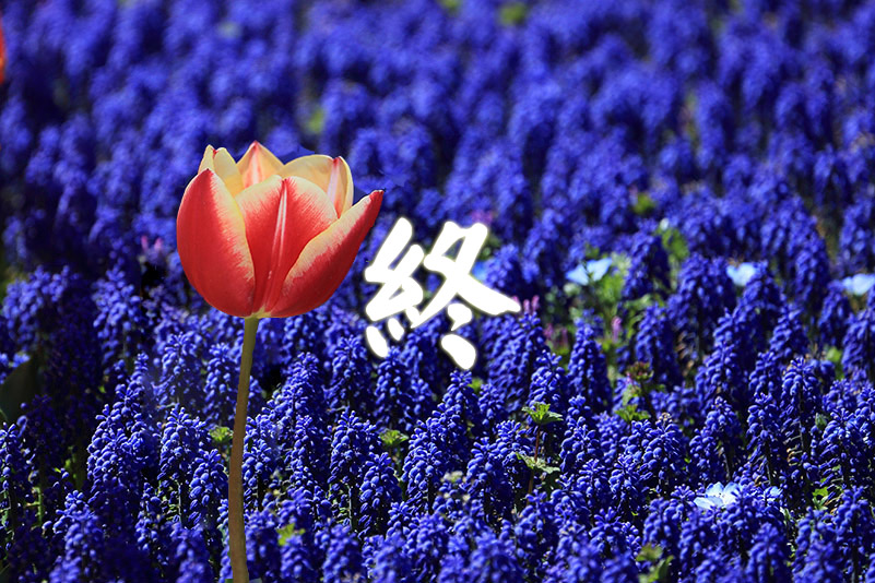 Photo#24