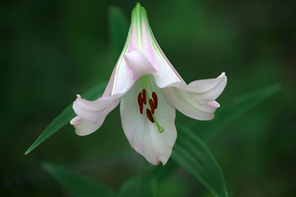 72
