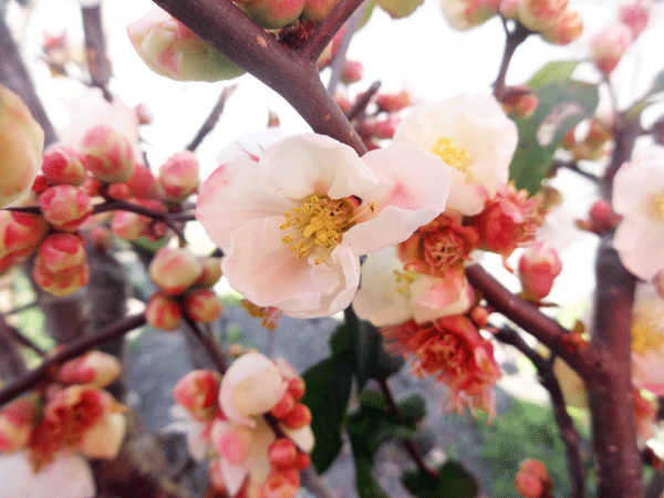 185726_1.gif  : 169 KB