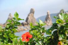 180447_1.jpg  : 167 KB