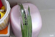 180467_1.jpg  : 47 KB