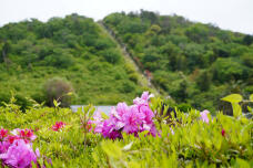 180474_1.jpg  : 209 KB