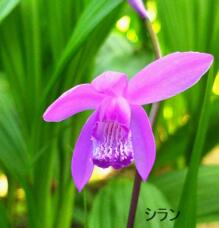180480_2.jpg  : 67 KB