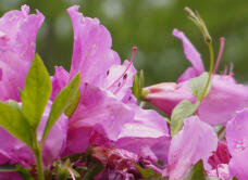 180486_1.jpg  : 145 KB