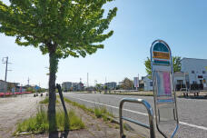 180535_1.jpg  : 275 KB