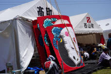 180575_1.jpg  : 203 KB