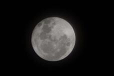 180577_1.jpg  : 16 KB