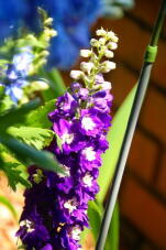 180579_2.jpg  : 74 KB