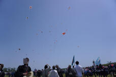 180589_1.jpg  : 67 KB