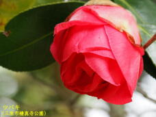 180597_1.jpg  : 33 KB