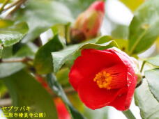 180607_3.jpg  : 39 KB