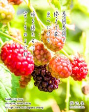 180783_1.jpg  : 235 KB