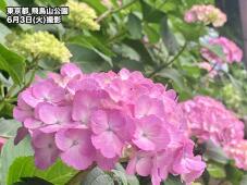 180877_3.jpg  : 69 KB