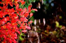 180989_7.jpg  : 45 KB