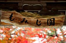 181039_5.jpg  : 55 KB