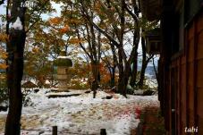 181053_2.jpg  : 48 KB