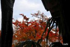 181053_4.jpg  : 41 KB