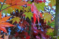 181053_9.jpg  : 46 KB