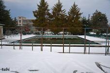 181081_3.jpg  : 78 KB