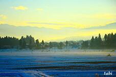 181096_7.jpg  : 54 KB