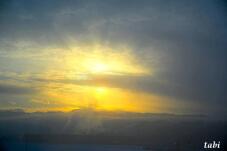181096_9.jpg  : 27 KB