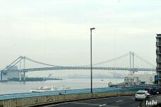 181159_4.jpg  : 47 KB