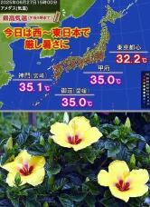 181193_3.jpg  : 239 KB